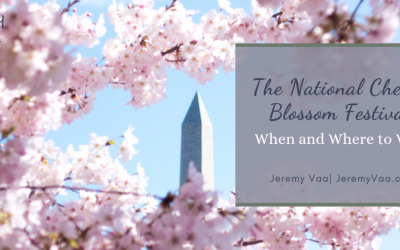 The National Cherry Blossom Festival: When and Where to View
