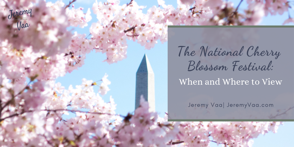 The National Cherry Blossom Festival: When and Where to View